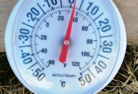Reader Janice MacKay sent a recent temperature reading after noticing significant differences between her front and back yards. -Contributed