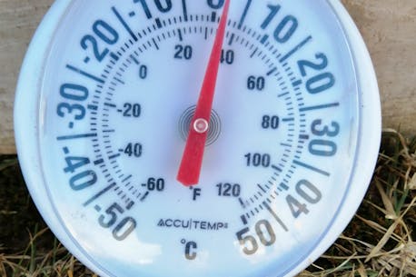 ASK ALLISTER: Where should I place my thermometer to get accurate temperature readings?