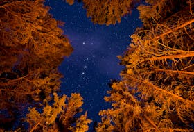 The Big Dipper, an asterism located within the constellation Ursa Major, is usually the first shape that beginner astronomers come to recognize. James Wheeler photo/Unsplash