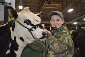 Konor Younker, 9, of Wheatley River took part in his first Easter Beef Show on March 24 in Charlottetown, showing his 1,125-pound crossbred heifer.