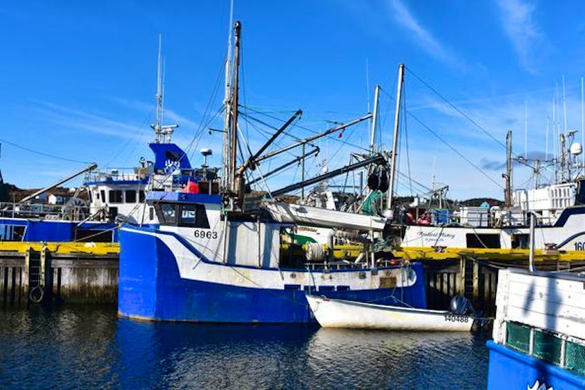 Fishing boat owners in N.L. deliver 'loud and clear' message to DFO;  scuttle those vessel length restrictions