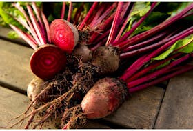 Helen Chesnut explores the various reasons why root veg may not flourish.