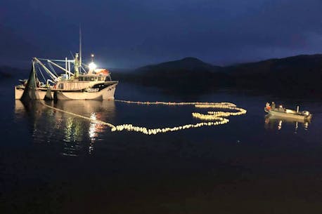 DFO minister shuts mackerel, spring herring fishery down for Atlantic Canada