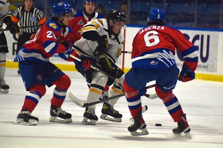 Cape Breton Eagles snap eight-game losing streak with win over Moncton Wildcats