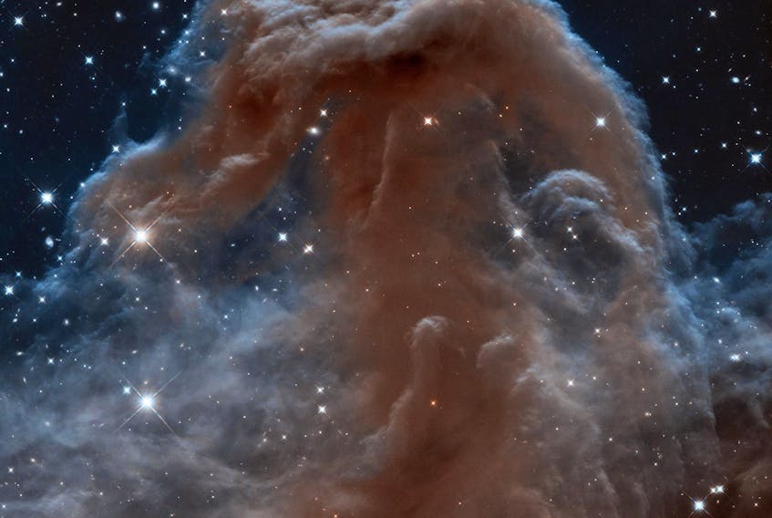 The Horsehead Nebula, seen here in an image produced using NASA’s Hubble Space telescope, is a popular target for amateur and professional astronomers. Images of nebulae are not visible with this clarity and detail, though, using binoculars and small telescopes.  Image courtesy of NASA’s Image and Video Library