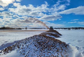 A tractor equipped with a snowblower runs through truckloads of potatoes in a field near Tryon owned by John Visser of Victoria Potato Farm Inc. on February 15. The P.E.I. Potato Board estimates 300 million pounds of fresh potatoes have been destroyed due to the closure of imports to the U.S. border.