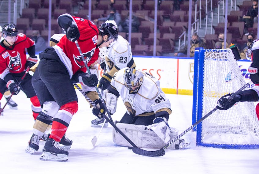 Newfoundland Growlers goaltender Evan Cormier and his teammates are looking to keep winning as the team welcomes the Trois-Rivières Lions to the Mary Brown’s Centre for a four-game series starting tonight. Jeff Parsons/Newfoundland Growlers