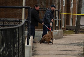 Animal control officers remove a dog from a residence on Herring Cove Rd. after a weapons call on Thursday, March 31, 2022.
Ryan Taplin - The Chronicle Herald