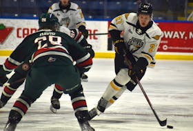 Cape Breton Eagles forward Peter Repcik, right, prepares to make a move on Stephen Davis of the Halifax Mooseheads during Quebec Major Junior Hockey League action at Centre 200 last week. Repcik will be out of the club’s lineup as he represents Slovakia at the IIHF World Under-18 Hockey Championship, Division 1 Group 'A' tournament in Slovakia this week. JEREMY FRASER/CAPE BRETON POST.