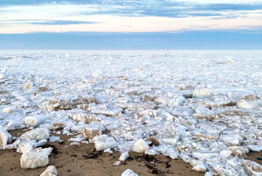 Drift ice packed onto Dominion Beach. When a pile of drift ice piles together to form a large mass, it's called pack ice. CONTRIBUTED
