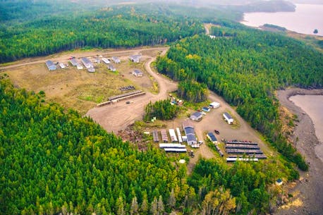 Marathon expecting first gold from Central Newfoundland Valentine Lake project in 2024