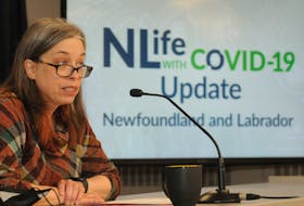 Chief Medical Officer of Health Dr. Janice Fitzgerald speaks with reporters at the Confederation Building on Wednesday, April 13.