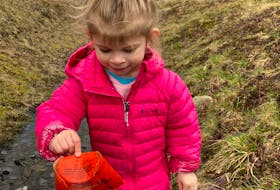 Sophia Strang picks up a French fry box thrown in the ditch near her home in Oak Park. The three-year old has issued a challenge for people to get out and clean up the ditches and road sides in front of their homes. CONTRIBUTED

