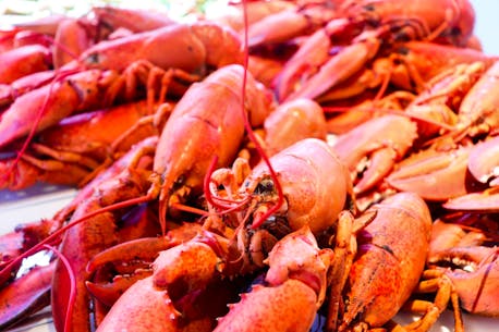 Will 2022 Atlantic Canada lobster season break another sales record? Or will inflation curb consumer appetite for high-cost shellfish?