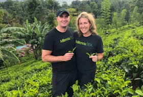 Rory and Tracy Bell, owners of Millennia TEA, travelled the world in search of the best tea leaves for their venture.