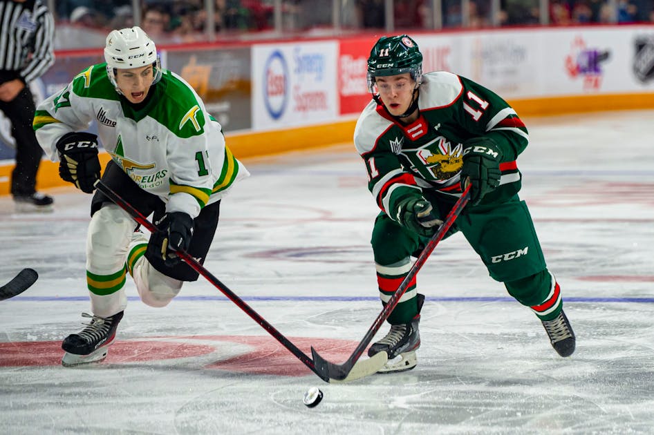 HISCHIER COMMITS TO MOOSEHEADS - Halifax Mooseheads