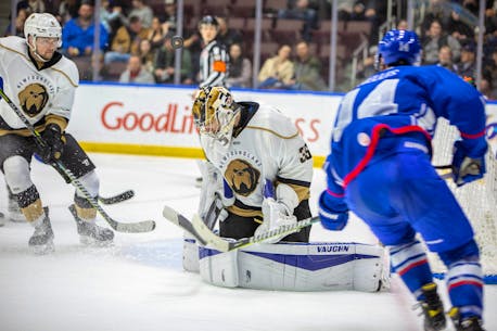 Newfoundland Growlers headed back to St. John’s for another chance to clinch their playoff series
