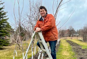 Ben Cullen uses an orchard “tripod” ladder, one of the six tools that every gardener needs.