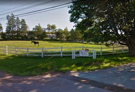 A horse grazes in a paddock at Storybook Stables on the property where Premier Dennis King lives.