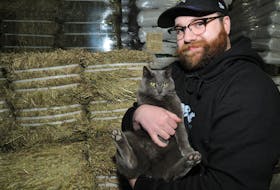 Travis Milley is manager of the Eastern Farmers Co-op in Mount Pearl. The business employs nine people during the busy summer season and Willow, the warehouse cat, is part of the team.