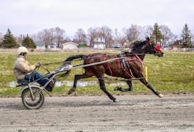 A March announcement that the North Sydney exhibition grounds had been put up for sale was jarring for Cape Breton's horse and agricultural community. JESSICA SMITH/CAPE BRETON POST