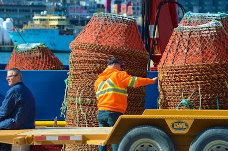 Snow crabbers set for a billion dollar haul in Newfoundland and Labrador