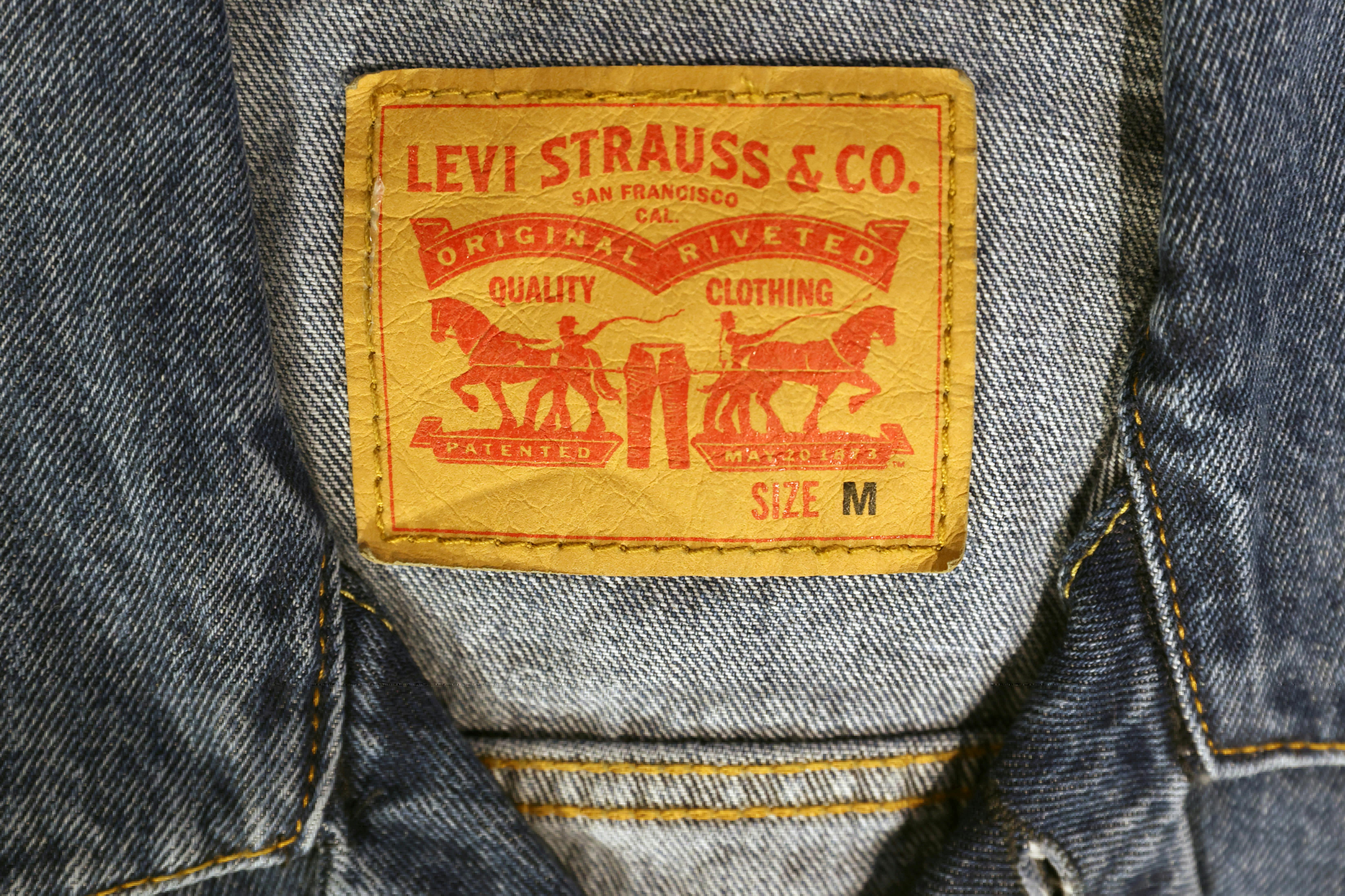 levis nova scotia