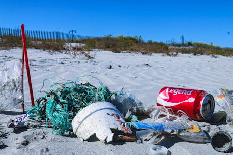 MARTHA MUZYCHKA: What message are we sending tourists who see all this litter when they visit N.L.?