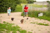  It’s essential for a dog to have good recall skills when visiting one of Saskatoon’s 11 off-leash dog parks.