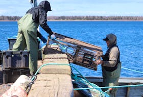 Fishers from Lennox Island load traps before taking to the water on May 7 for the first day of the community's moderate livelihood fishery. - Logan MacLean • The Guardian