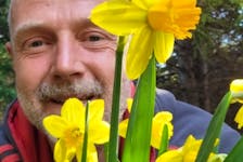 Michael Ashton is the owner of Woodland Daffodil Walk at Ashton’s Garden Centre near Tatamagouche.
