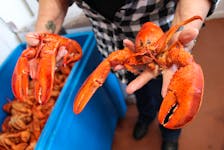 Lobster  The season in Lobster Fishing Area 27, which stretches from Bay St. Lawrence to Gabarus, will open today instead of Sunday. CAPE BRETON POST FILE