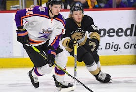 The Newfoundland Growlers forced a Game 7 in their ECHL North Division Final playoff series with the Reading Royals after winning Game 6 of the series 4-2 Saturday night. Photo courtesy Newfoundland Growlers
