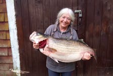 Crystal Morrison-Newell with the 54 pound (49 1/4inch long) striped bass she caught in the Annapolis River on Sunday.