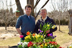 Mark Cullen, right, and his son, Ben, say there are plenty of benefits to container gardening.