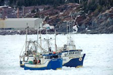 Crab fishing boats heading out of Twillingate harbour May 1. Pack ice close to shore delayed the start of the season for some snow crab fishing crews in Newfoundland and Labrador this year.
