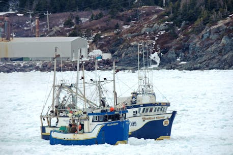 Snow crab prices plummet in Newfoundland