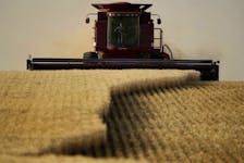 After a tough year in Canadian agriculture, CN Rail believes farmers will see a better crop this year. 