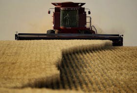 After a tough year in Canadian agriculture, CN Rail believes farmers will see a better crop this year. 