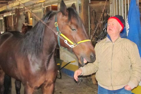 Cool Dew, with owner and trainer Stephen MacLeod, seems to be saying, “let me try an arm-hold on you.”