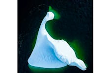 Photographer captured this aerial photo of an iceberg with a very familiar shape.