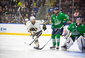 The Newfoundland Growlers dropped Game 1 of the ECHL Eastern Conference Final to the Florida Everblades 4-3 in overtime on May 20 at the Mary Brown's Centre in St. John's. Jeff Parsons/Newfoundland Growlers
