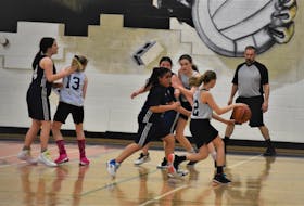 The goal of Sport Hub is to help all community sports - such as female youth basketball - increase participation and retention.