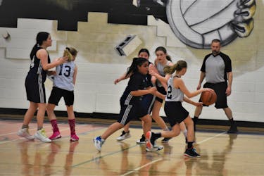 The goal of Sport Hub is to help all community sports - such as female youth basketball - increase participation and retention.