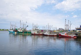 Various sizes of commercial fishing vessels are used in Newfoundland and Labrador. The latest report from the Transportation Safety Board of Canada says about 4,000 of the inshore vessels registered with DFO are not registered with Transport Canada.