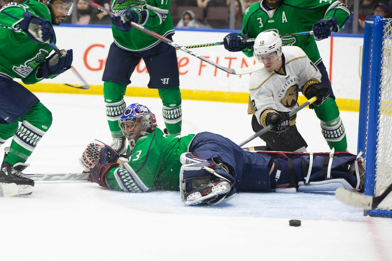 Down In A Hole: The Newfoundland Growlers Trail Florida Everblades 2-0 ...