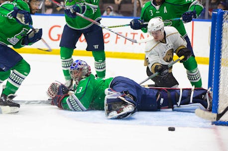 Down in a hole: The Newfoundland Growlers trail Florida Everblades 2-0 in ECHL Eastern Conference Final