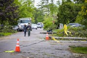 The Pineglen area off of Merivale Road was heavily damaged by Saturday's devastating storm. Hastings Utilities Contracting Ltd., a contractor along with Hydro Ottawa were working on clearing lines in the area and moving the trees and rubble. 