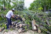The Pineglen area off of Merivale Road was heavily damaged by Saturday's devastating storm. Hastings Utilities Contracting Ltd., a contractor along with Hydro Ottawa were working on clearing lines in the area and moving the trees and rubble. 
