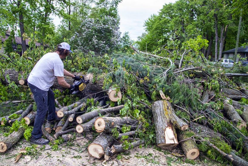 The Pineglen area off of Merivale Road was heavily damaged by Saturday's devastating storm. Hastings Utilities Contracting Ltd., a contractor along with Hydro Ottawa were working on clearing lines in the area and moving the trees and rubble. 
